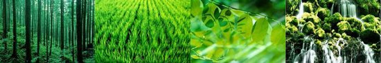 green peel